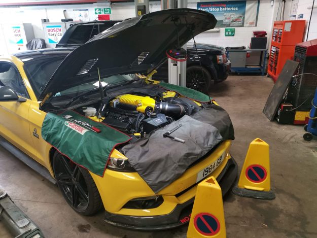 Mustang 800hp